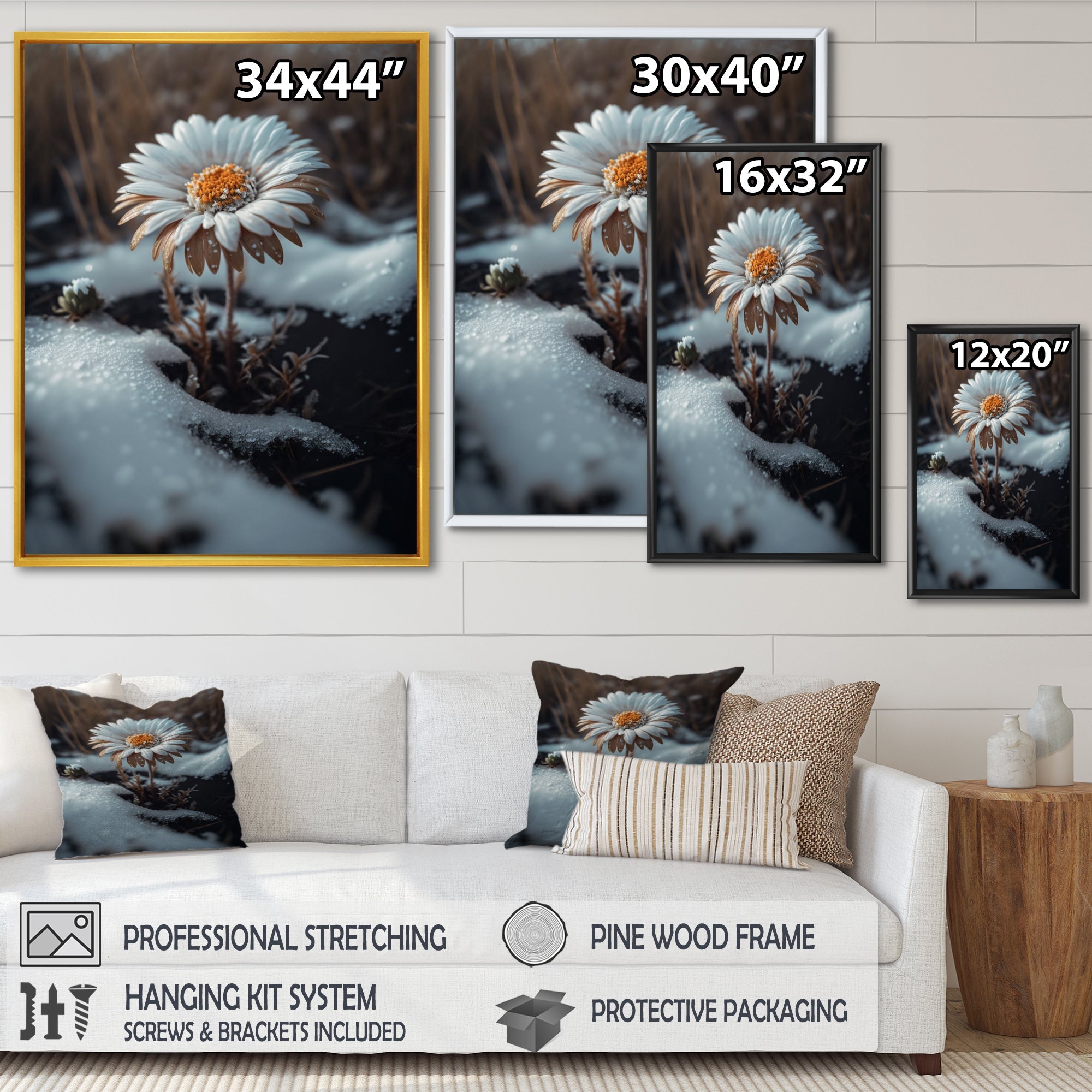 A Blooming White Daisy Flower In Winter Framed Canvas Vibrant Black - 1.5Thick