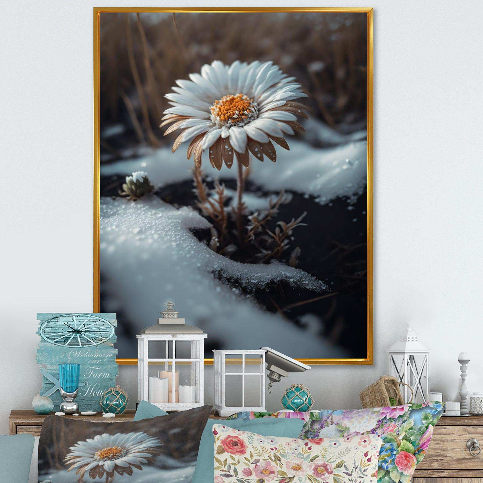 A Blooming White Daisy Flower In Winter Canvas Canvas