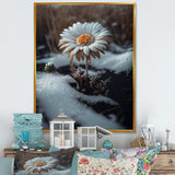A Blooming White Daisy Flower In Winter Canvas Canvas