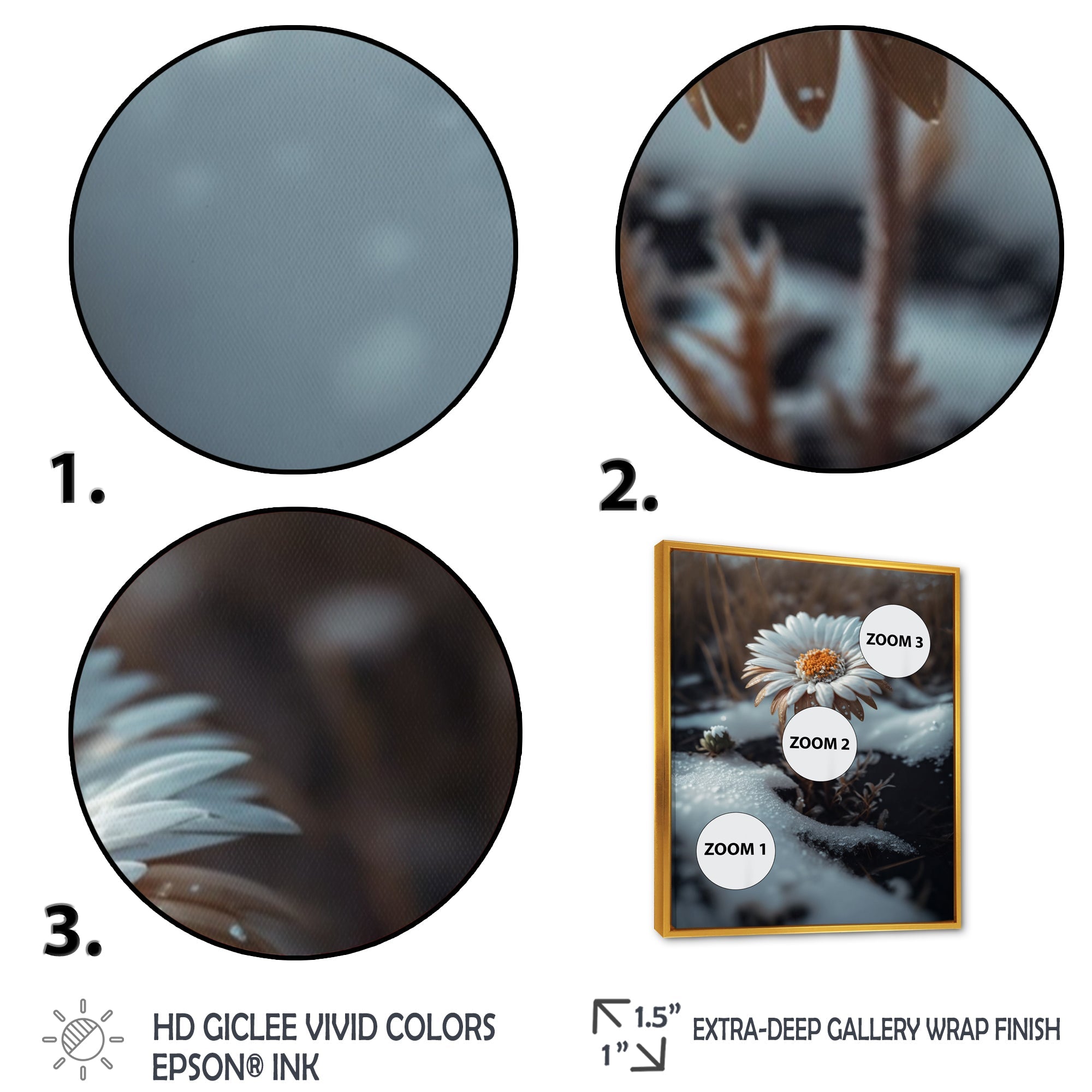 A Blooming White Daisy Flower In Winter Framed Canvas Vibrant Gold - 1.5Thick