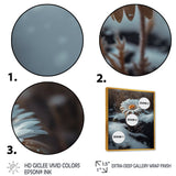 A Blooming White Daisy Flower In Winter Framed Canvas Vibrant Gold - 1.5Thick