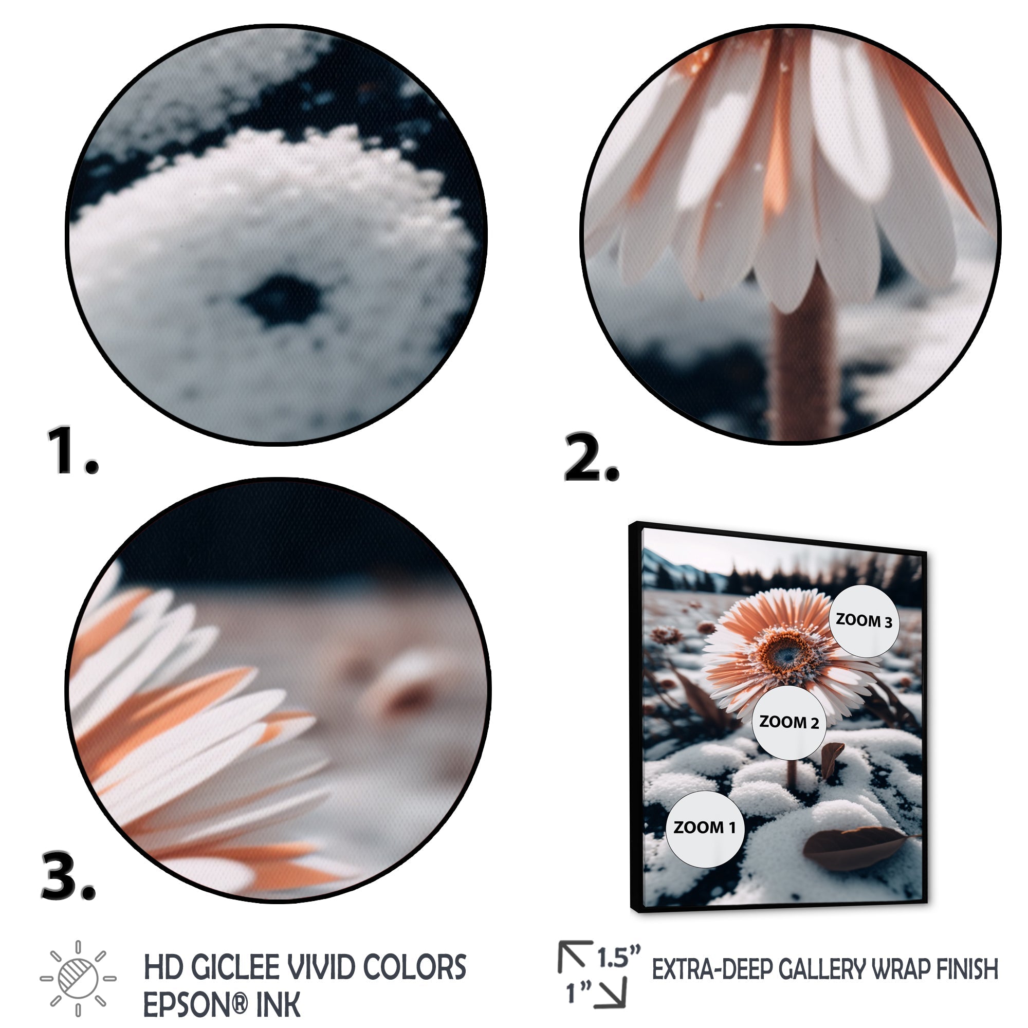 A Blooming White Gerbera Flower In Winter Framed Canvas Vibrant Black - 1.5Thick