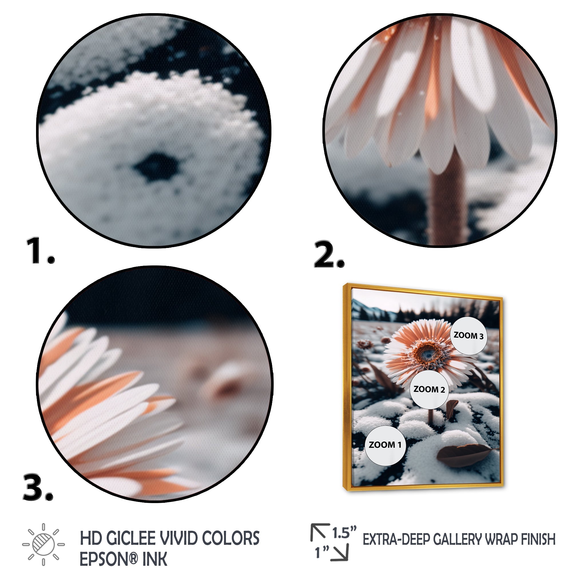 A Blooming White Gerbera Flower In Winter Framed Canvas Vibrant Gold - 1.5Thick