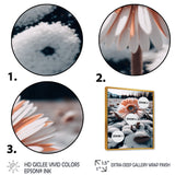 A Blooming White Gerbera Flower In Winter Framed Canvas Vibrant Gold - 1.5Thick