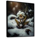 A Blooming White Orchid Flower In Winter II Framed Canvas Vibrant Black - 1.5Thick