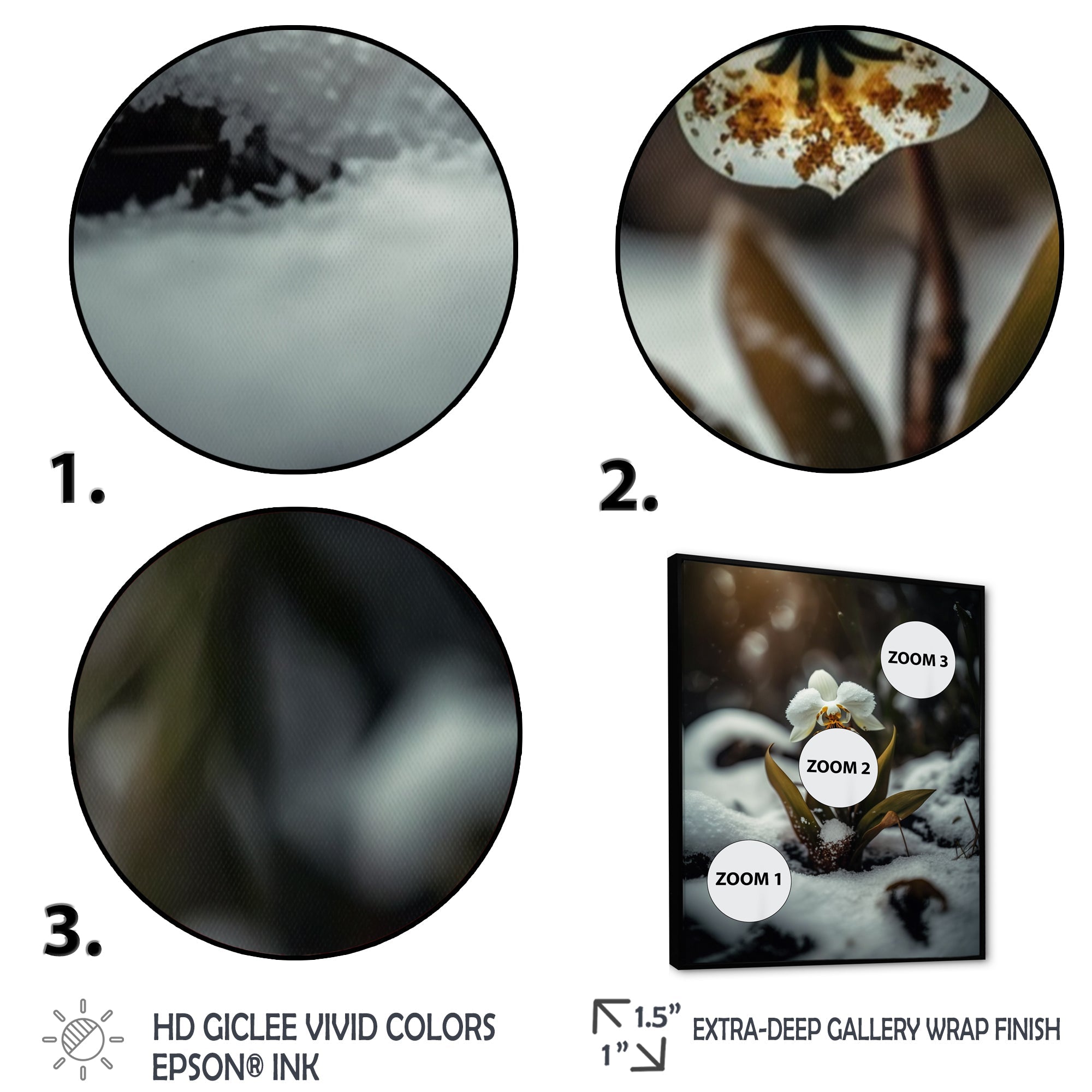 A Blooming White Orchid Flower In Winter II Framed Canvas Vibrant Black - 1.5Thick