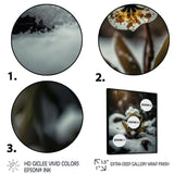 A Blooming White Orchid Flower In Winter II Framed Canvas Vibrant Black - 1.5Thick