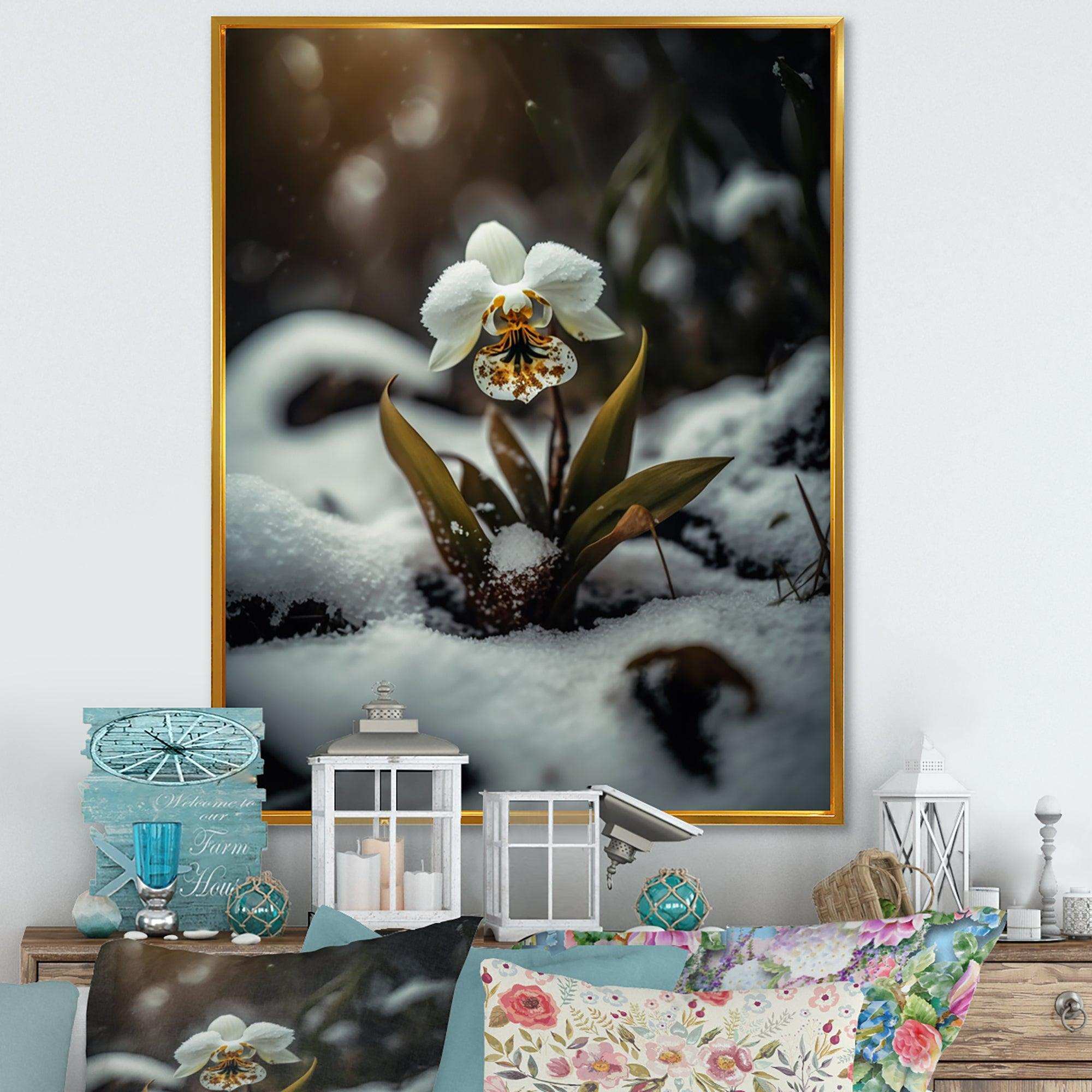 A Blooming White Orchid Flower In Winter II Canvas Canvas