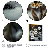 A Blooming White Orchid Flower In Winter II Framed Canvas Vibrant Gold - 1.5Thick