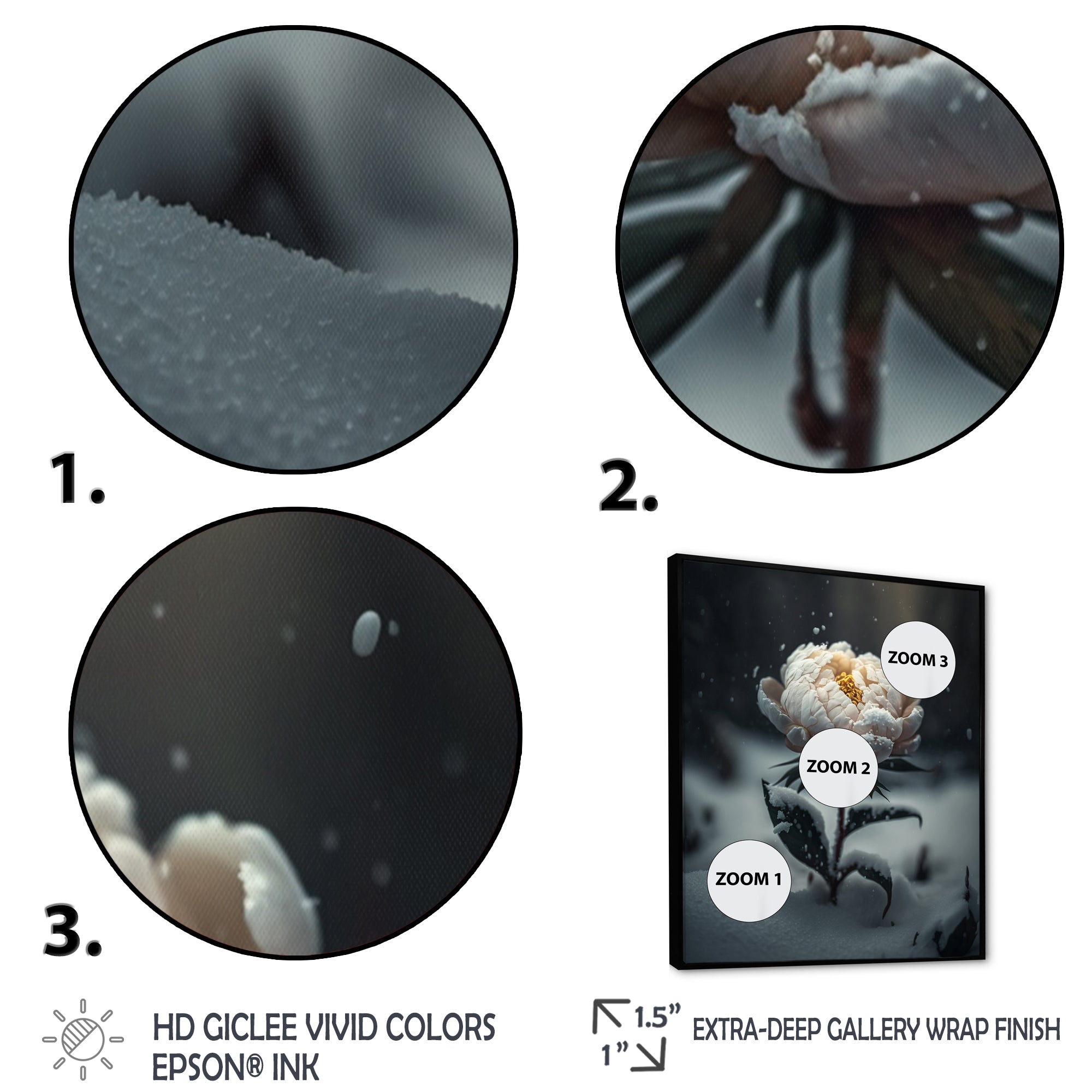 A Blooming White Peony Flower In Winter II Framed Canvas Vibrant Black - 1.5Thick