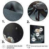 A Blooming White Peony Flower In Winter II Framed Canvas Vibrant Black - 1.5Thick