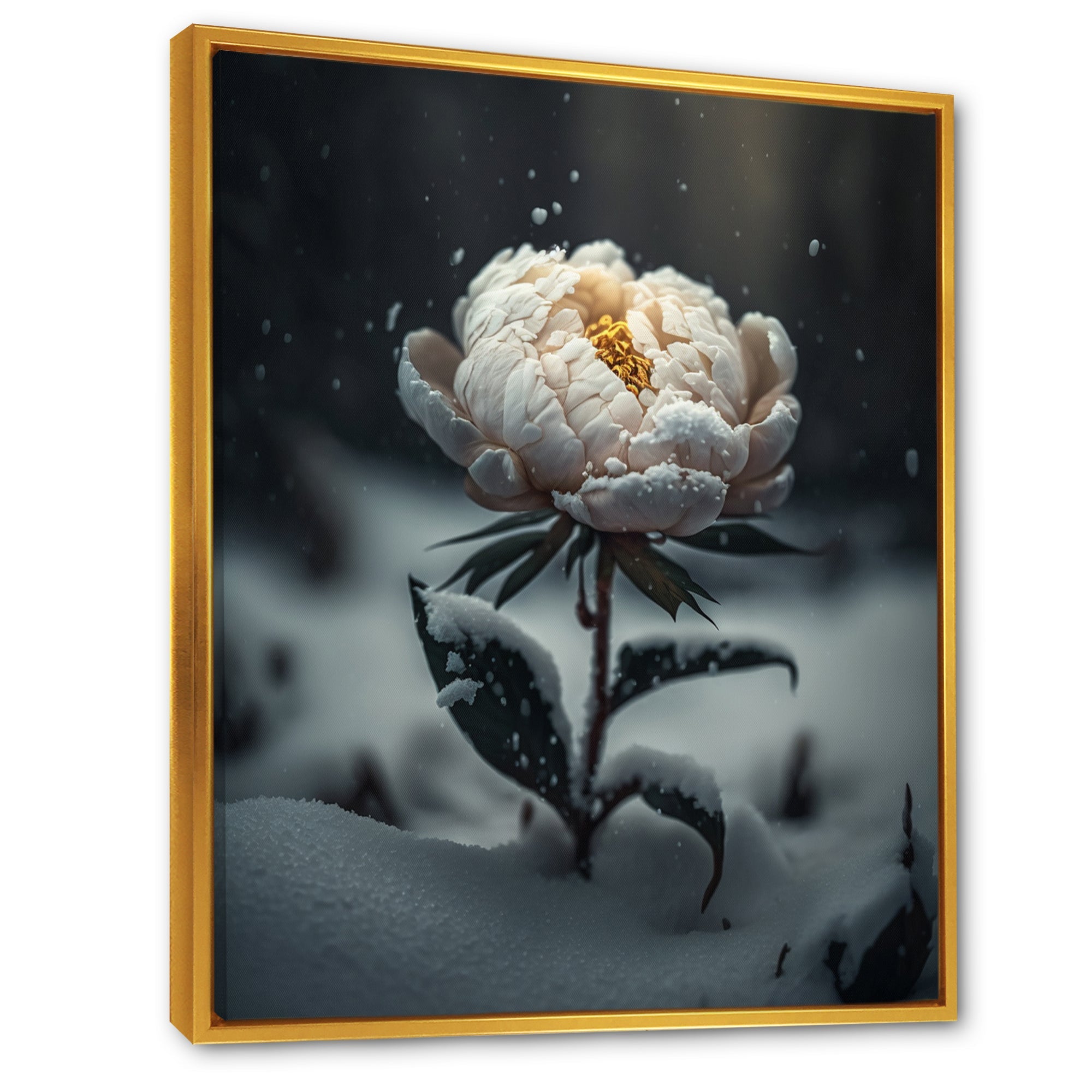 A Blooming White Peony Flower In Winter II Framed Canvas Vibrant Gold - 1.5Thick