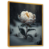 A Blooming White Peony Flower In Winter II Framed Canvas Vibrant Gold - 1.5Thick