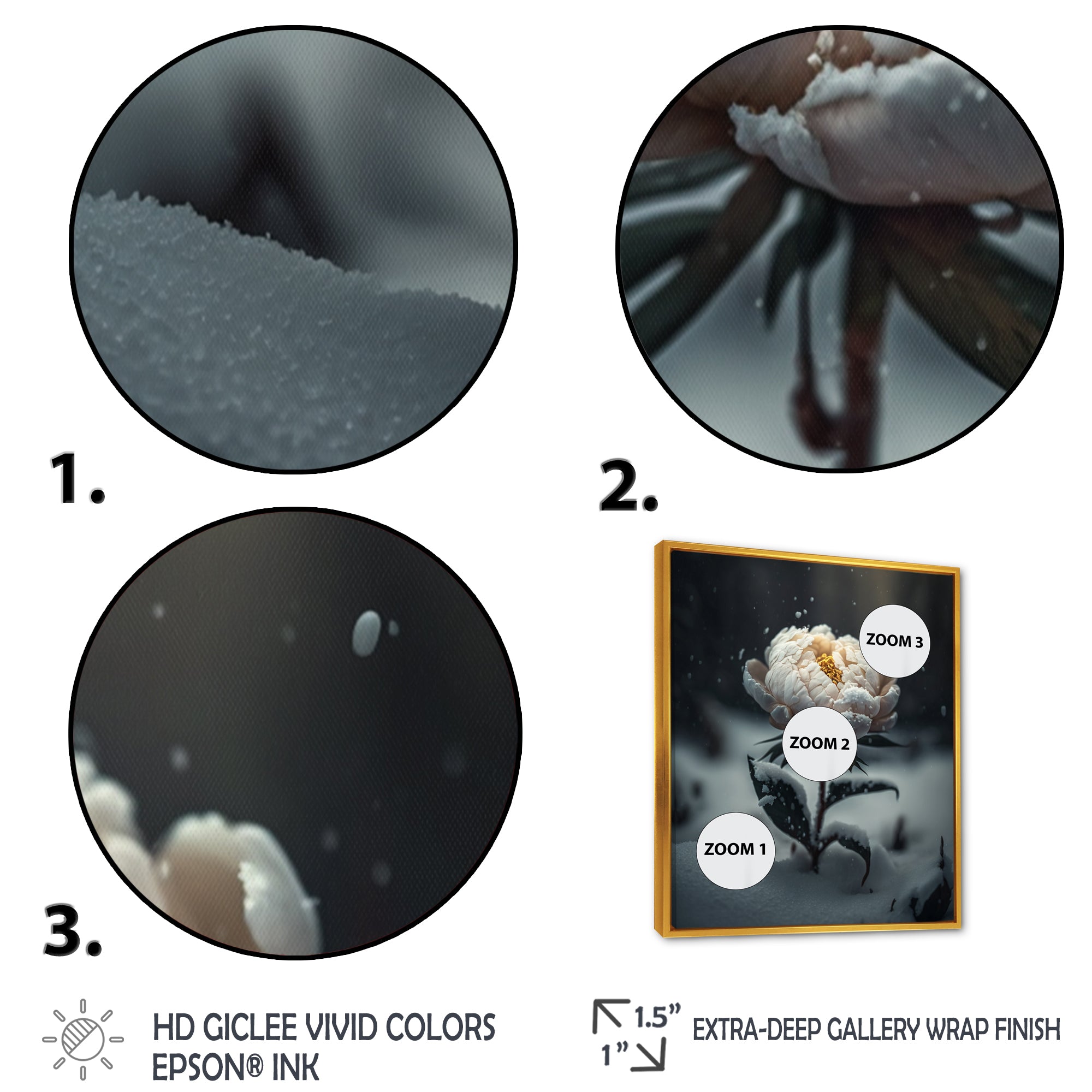 A Blooming White Peony Flower In Winter II Framed Canvas Vibrant Gold - 1.5Thick