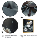 A Blooming White Peony Flower In Winter II Framed Canvas Vibrant Gold - 1.5Thick