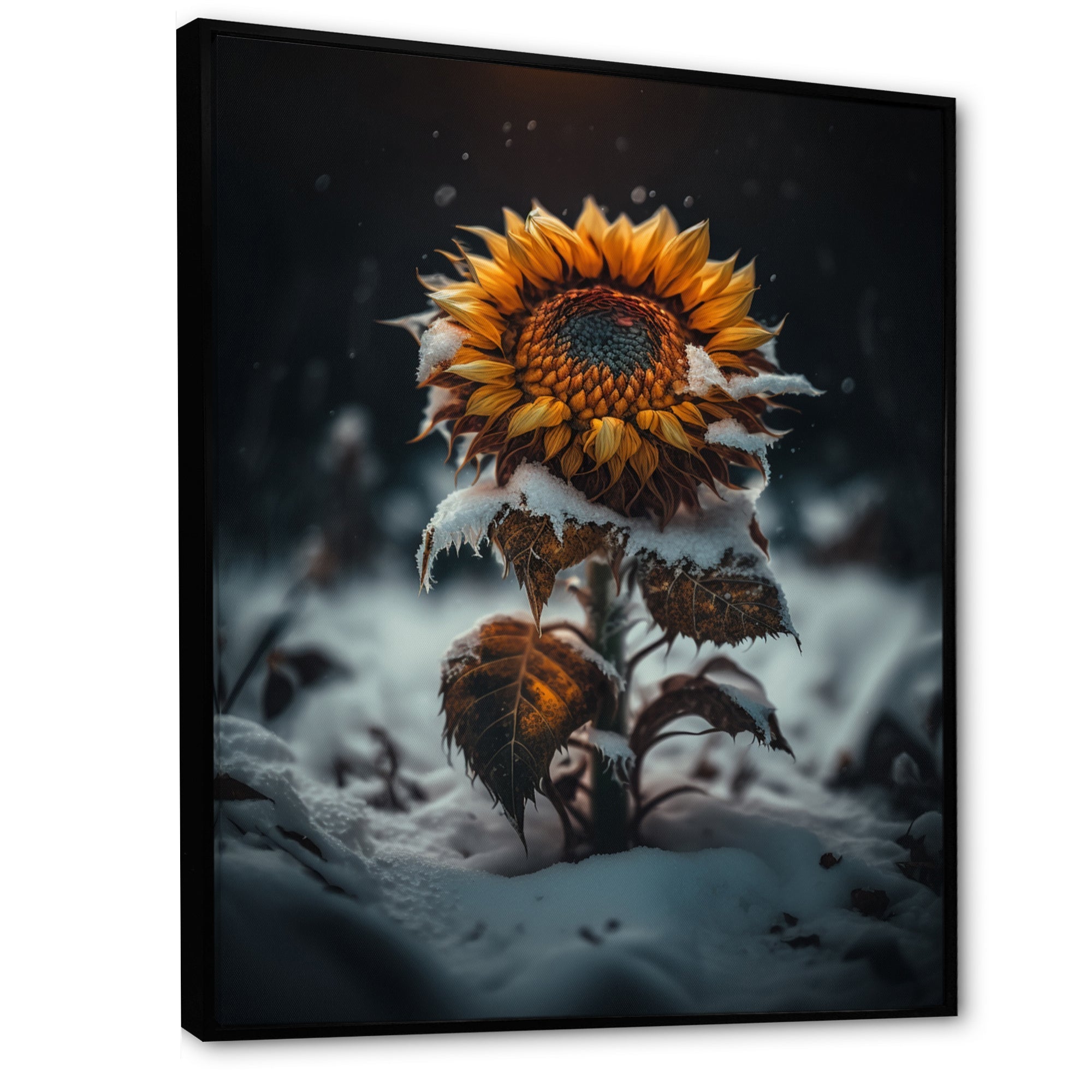 A Blooming Yellow And Orange Sunflower Winter I Framed Canvas Vibrant Black - 1.5Thick