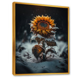 A Blooming Yellow And Orange Sunflower Winter I Framed Canvas Vibrant Gold - 1.5Thick