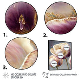 Cream And Purple Tulip II