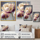 Cream And Purple Tulip II