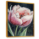 Blooming Tulip Flowers Watercolor I