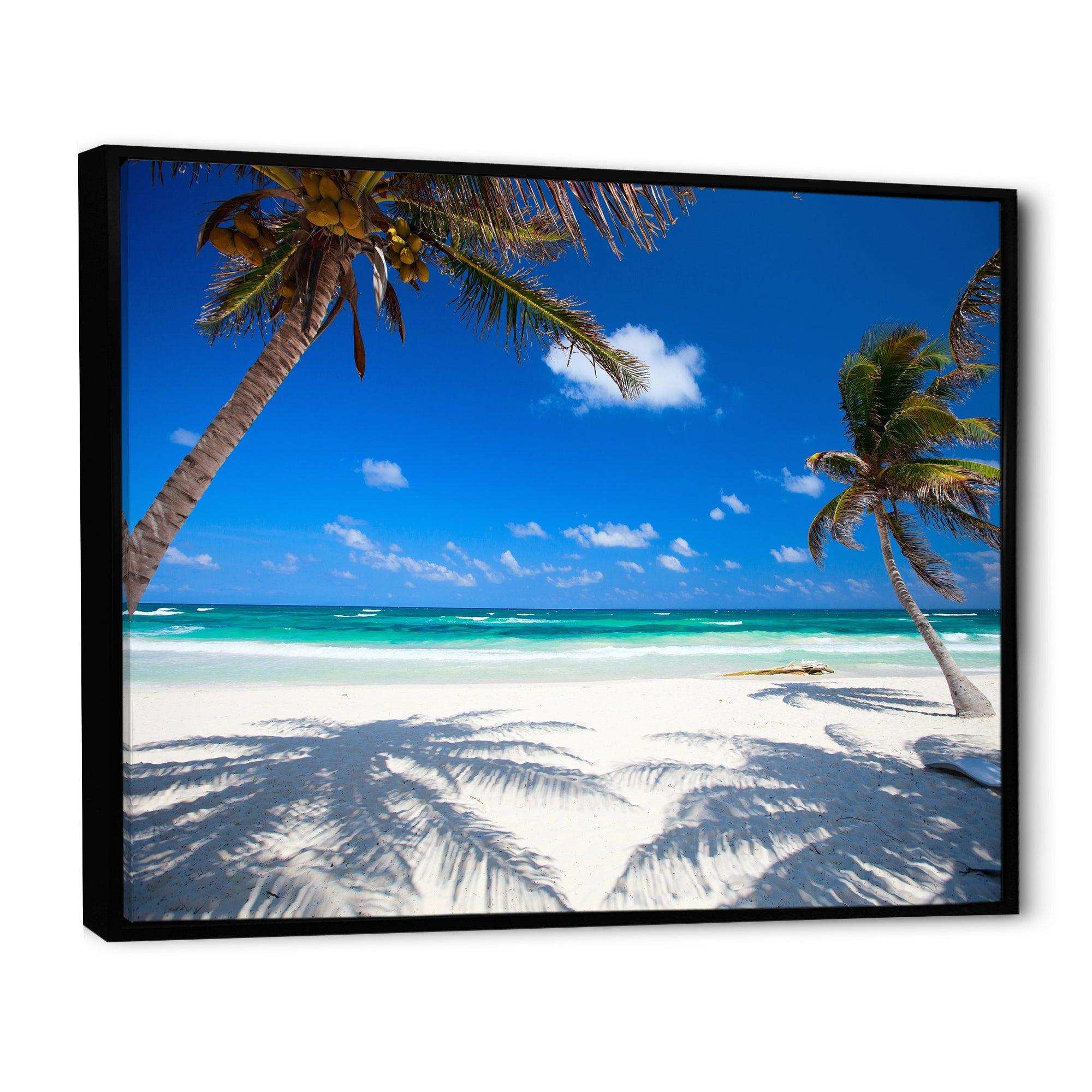 Coconut Palms at Beach