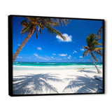 Coconut Palms at Beach