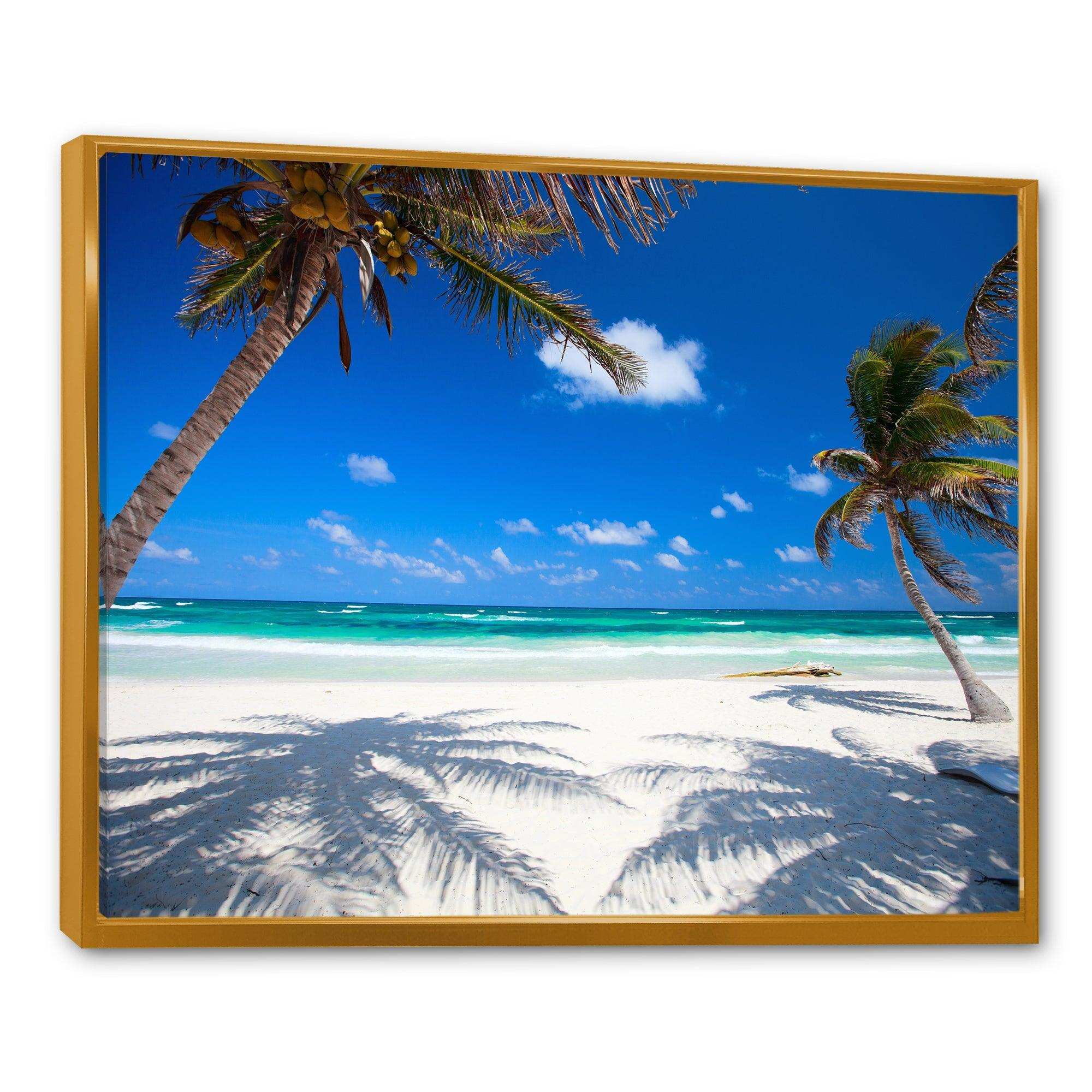 Coconut Palms at Beach