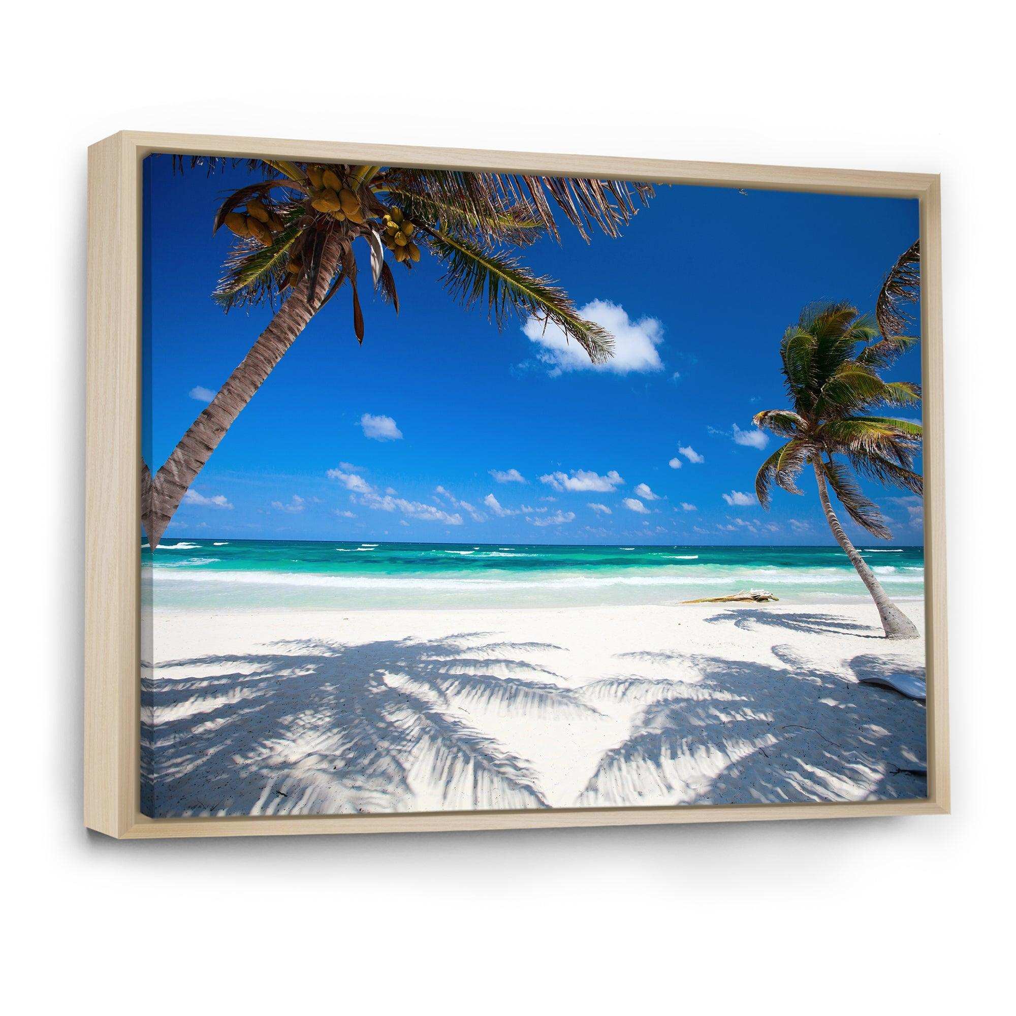 Coconut Palms at Beach