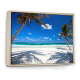 Coconut Palms at Beach