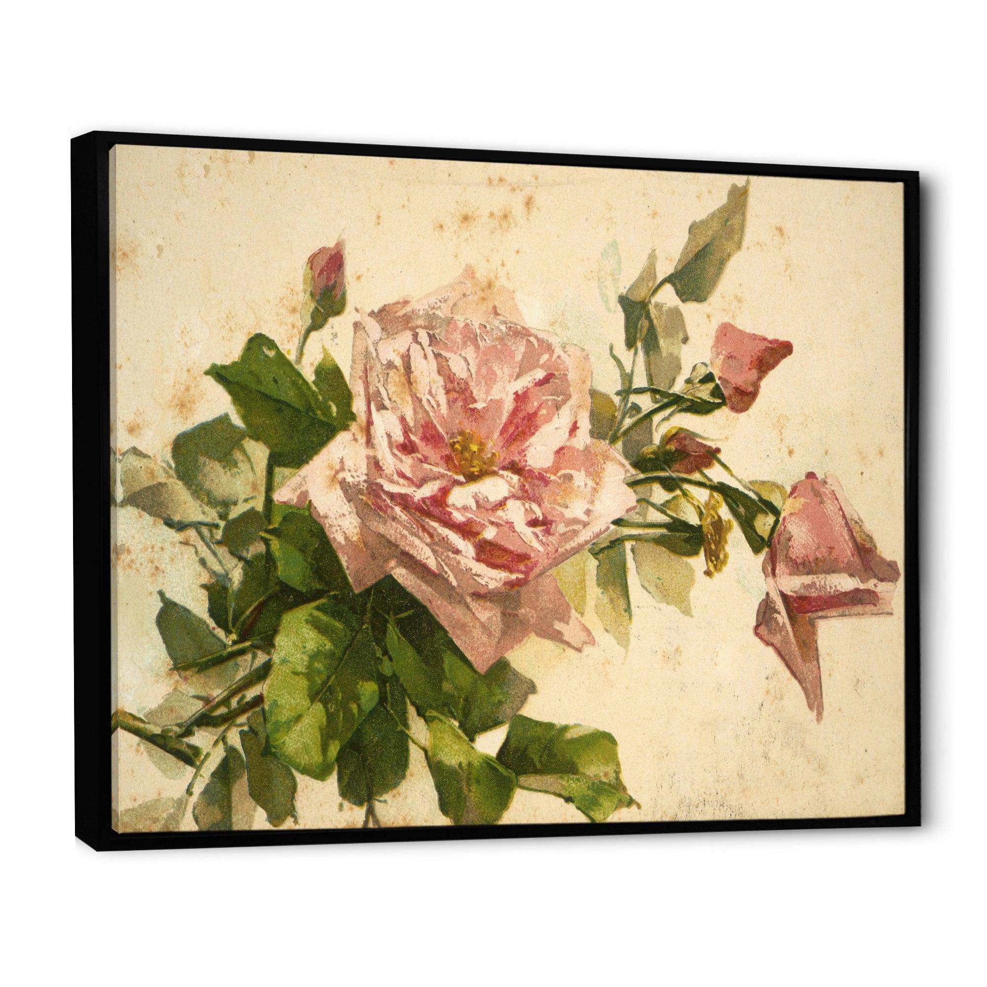 Pink Flower