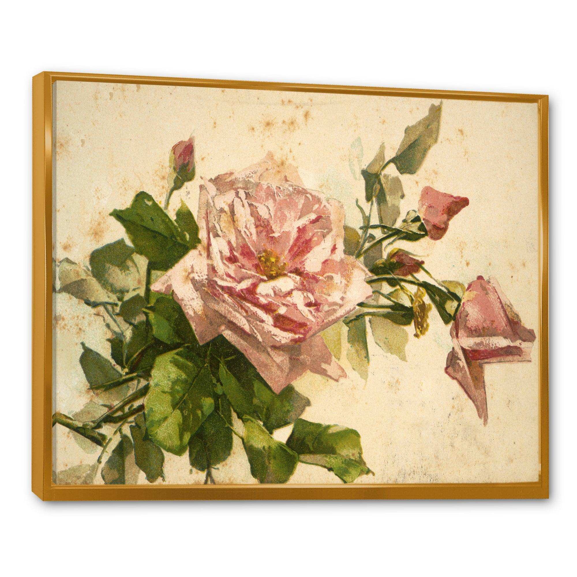 Pink Flower