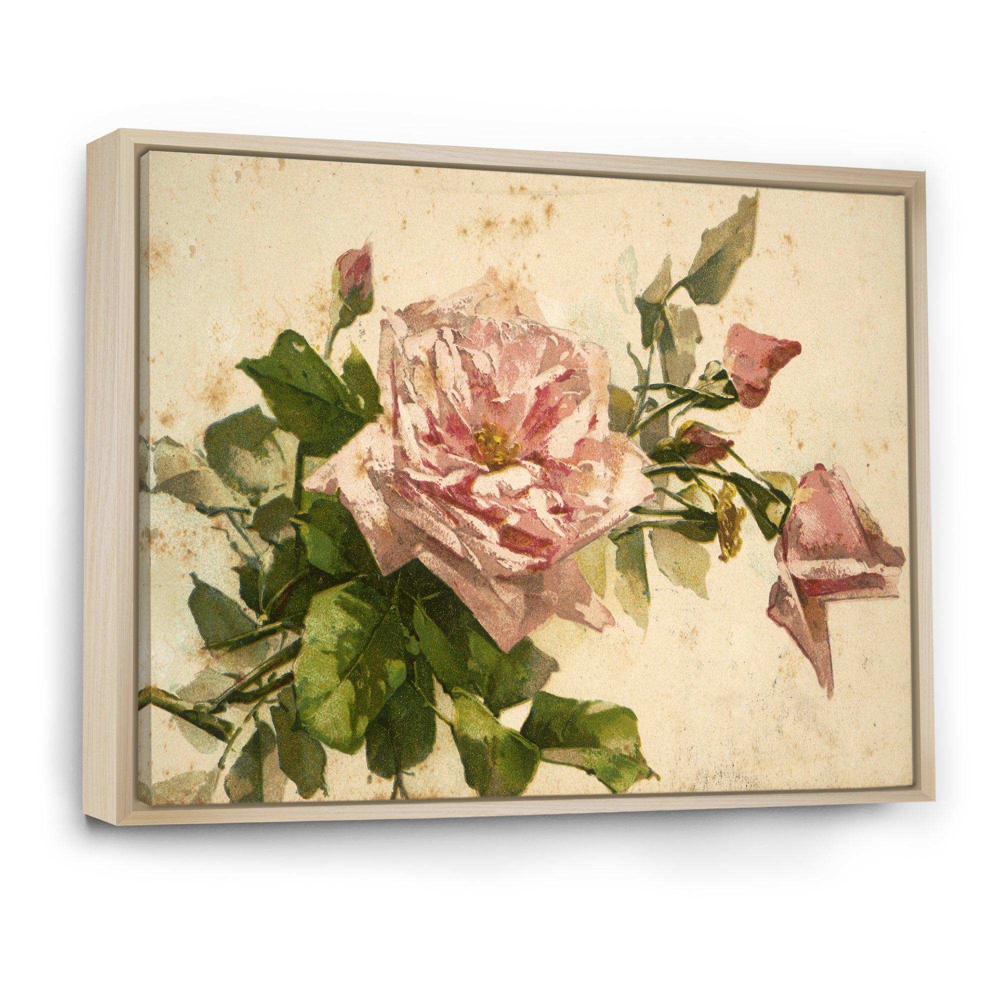 Pink Flower