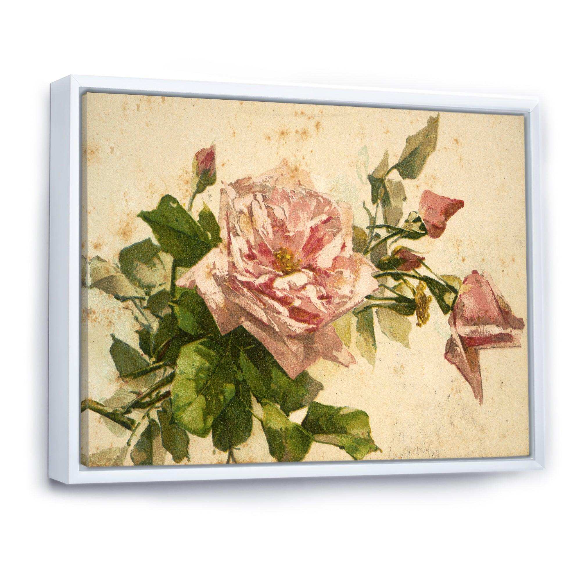 Pink Flower