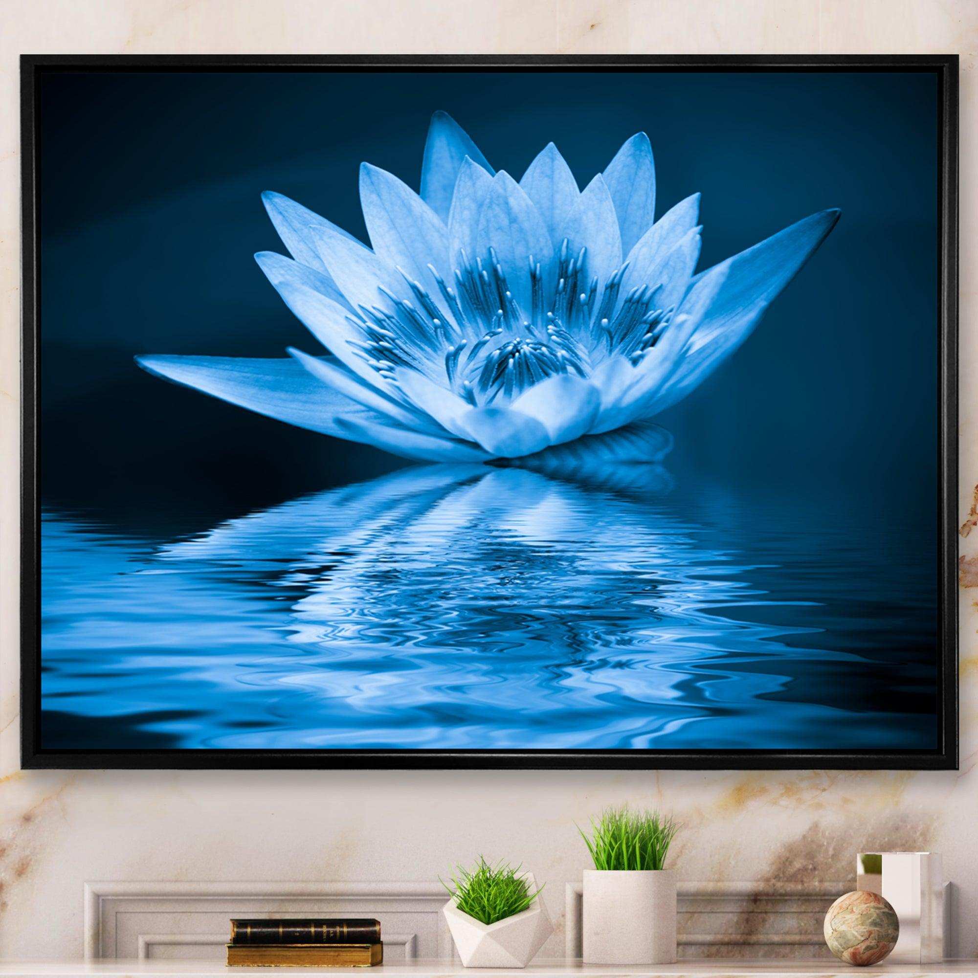 Blue Water Lily