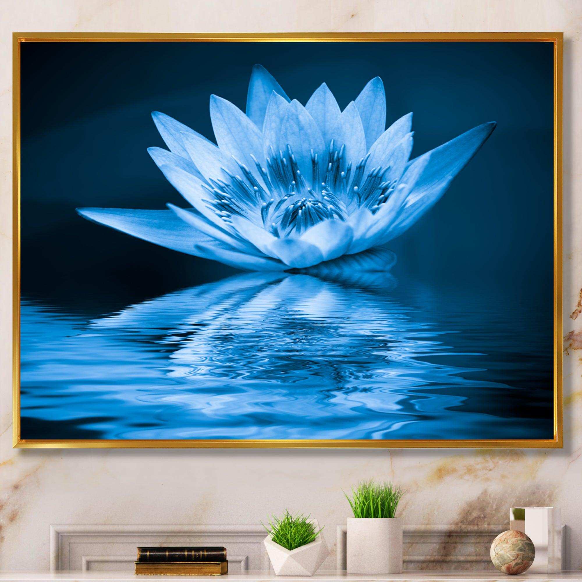 Blue Water Lily