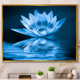 Blue Water Lily