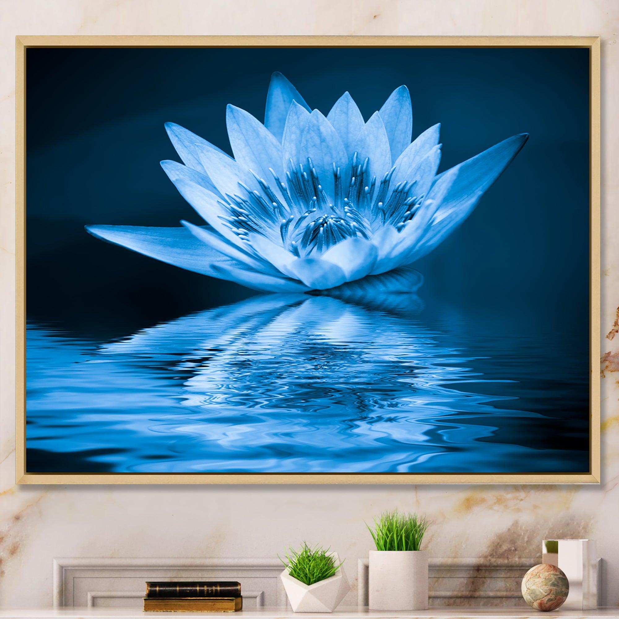 Blue Water Lily