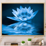 Blue Water Lily