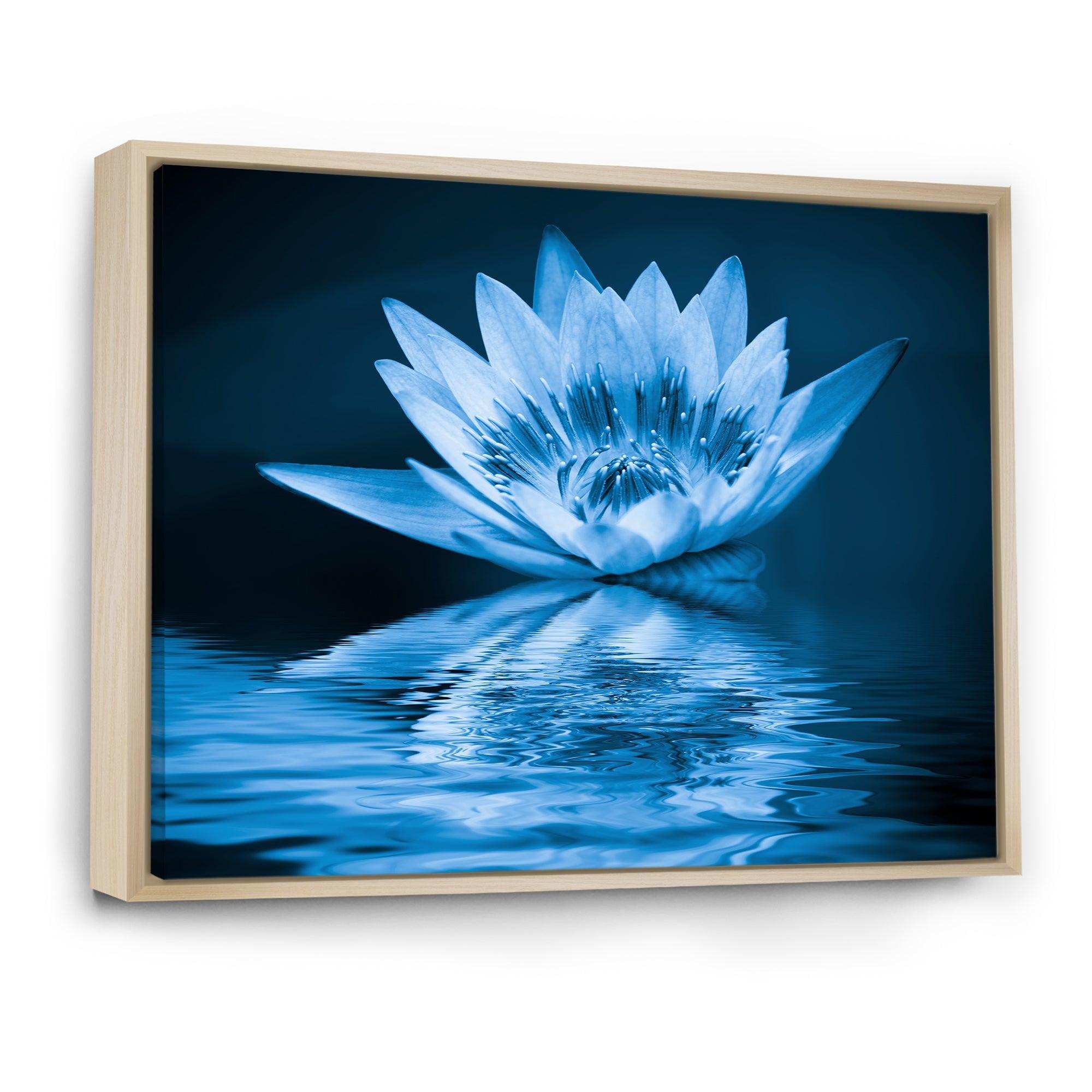 Blue Water Lily