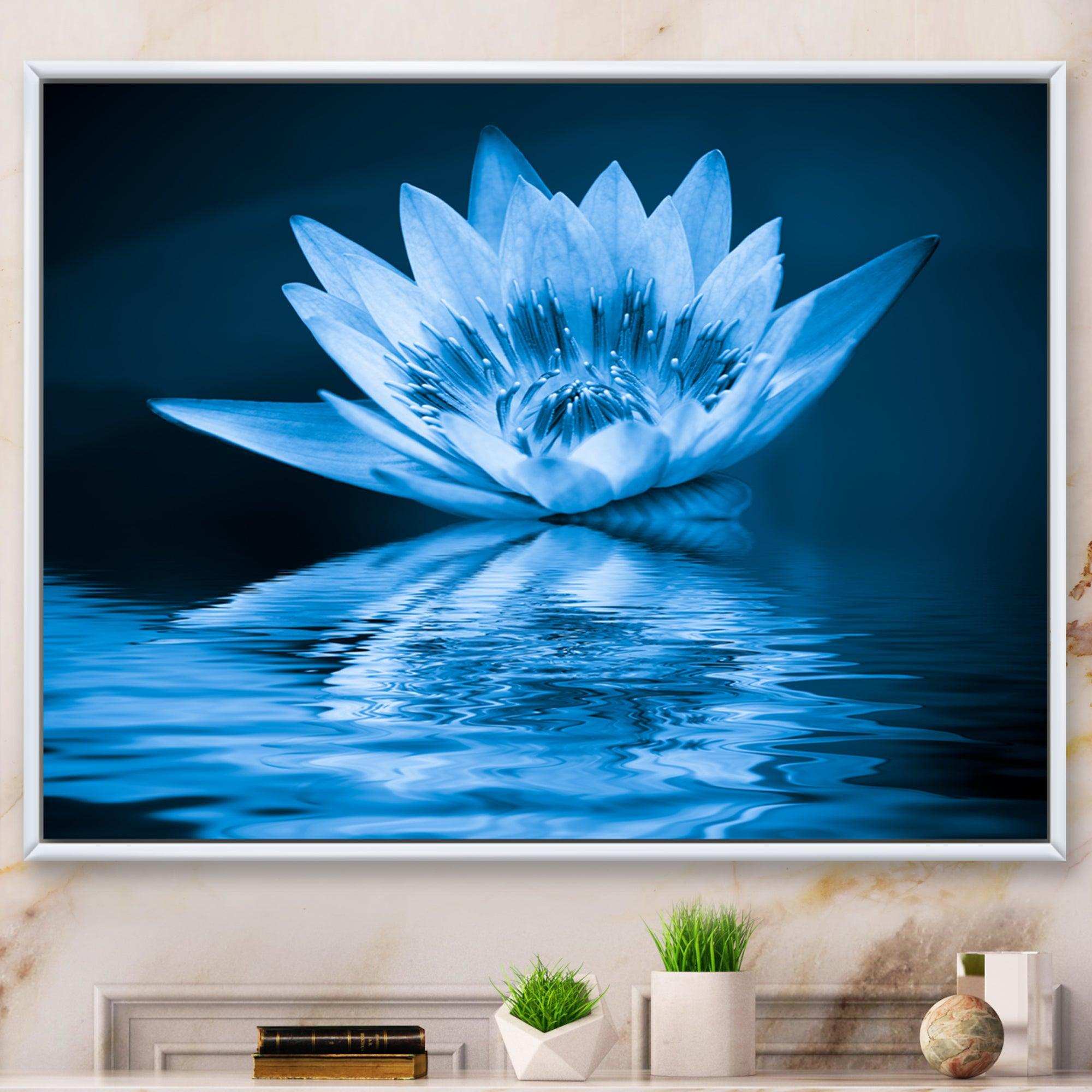 Blue Water Lily