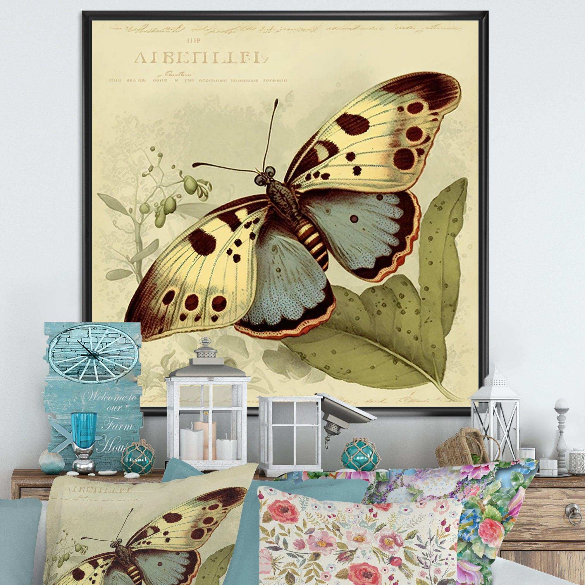 Vintage Illustration Of Butterfly III