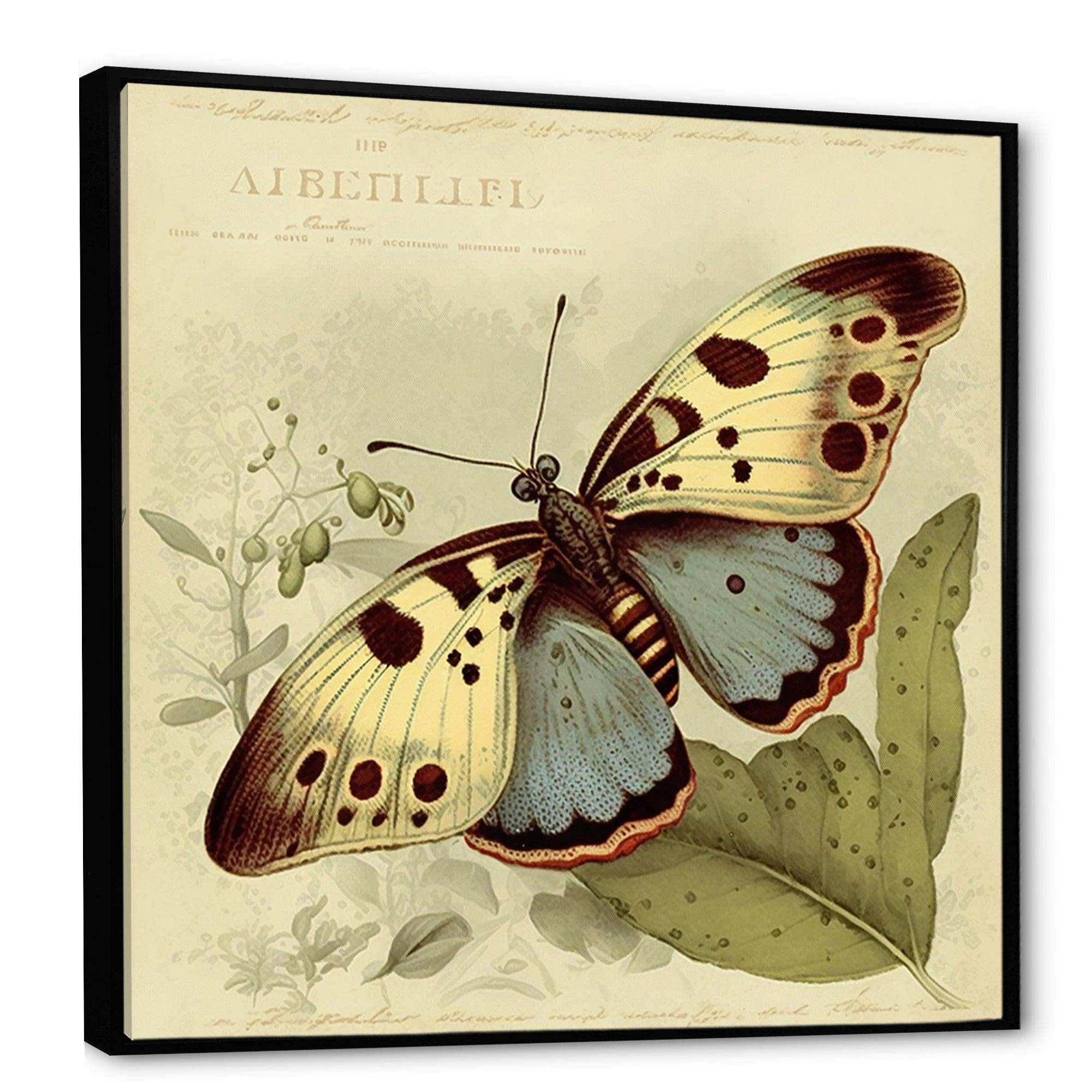 Vintage Illustration Of Butterfly III