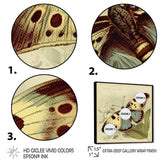 Vintage Illustration Of Butterfly III