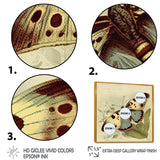 Vintage Illustration Of Butterfly III