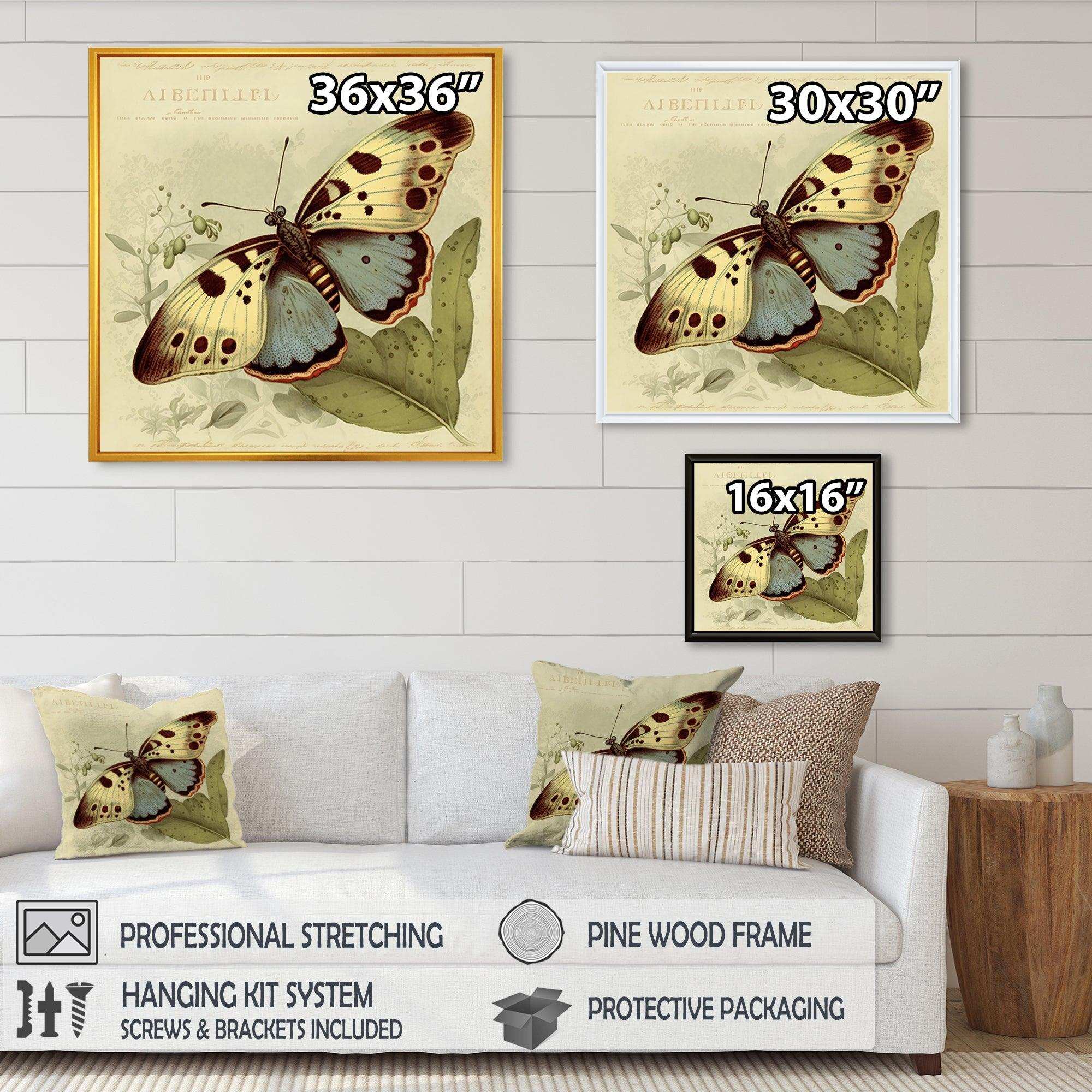 Vintage Illustration Of Butterfly III