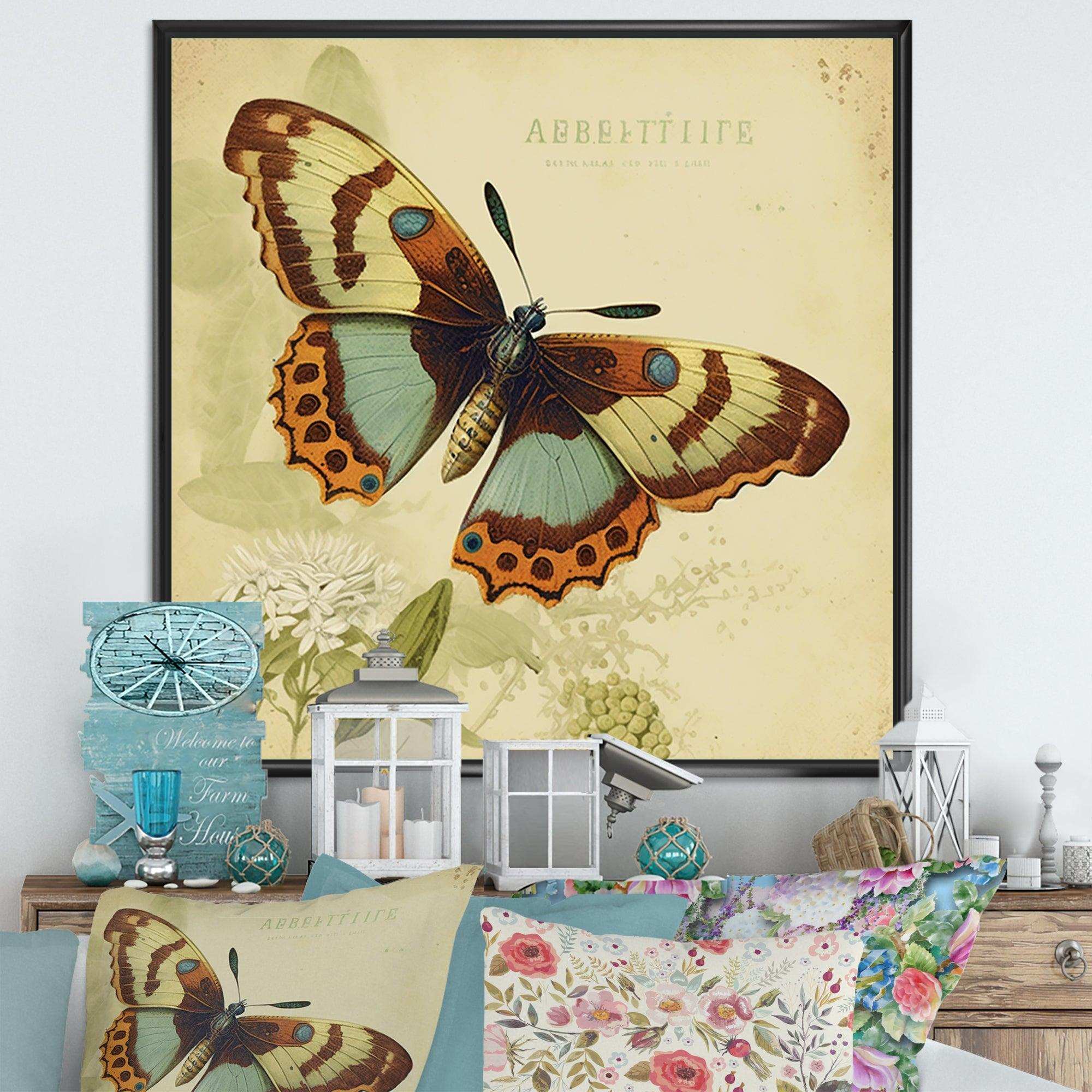 Vintage Illustration Of Butterfly IV