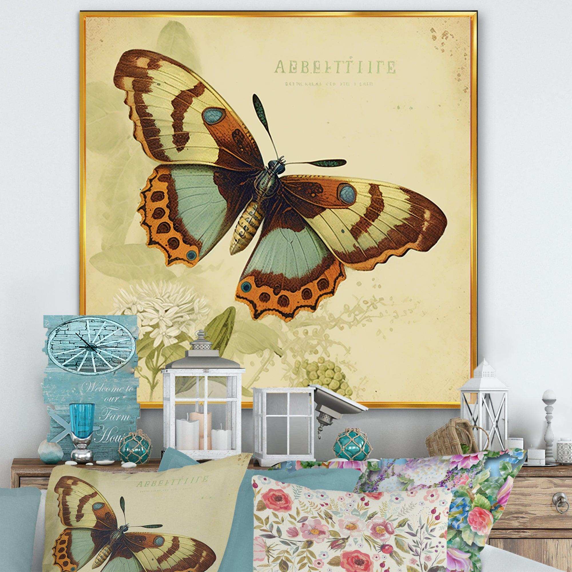 Vintage Illustration Of Butterfly IV