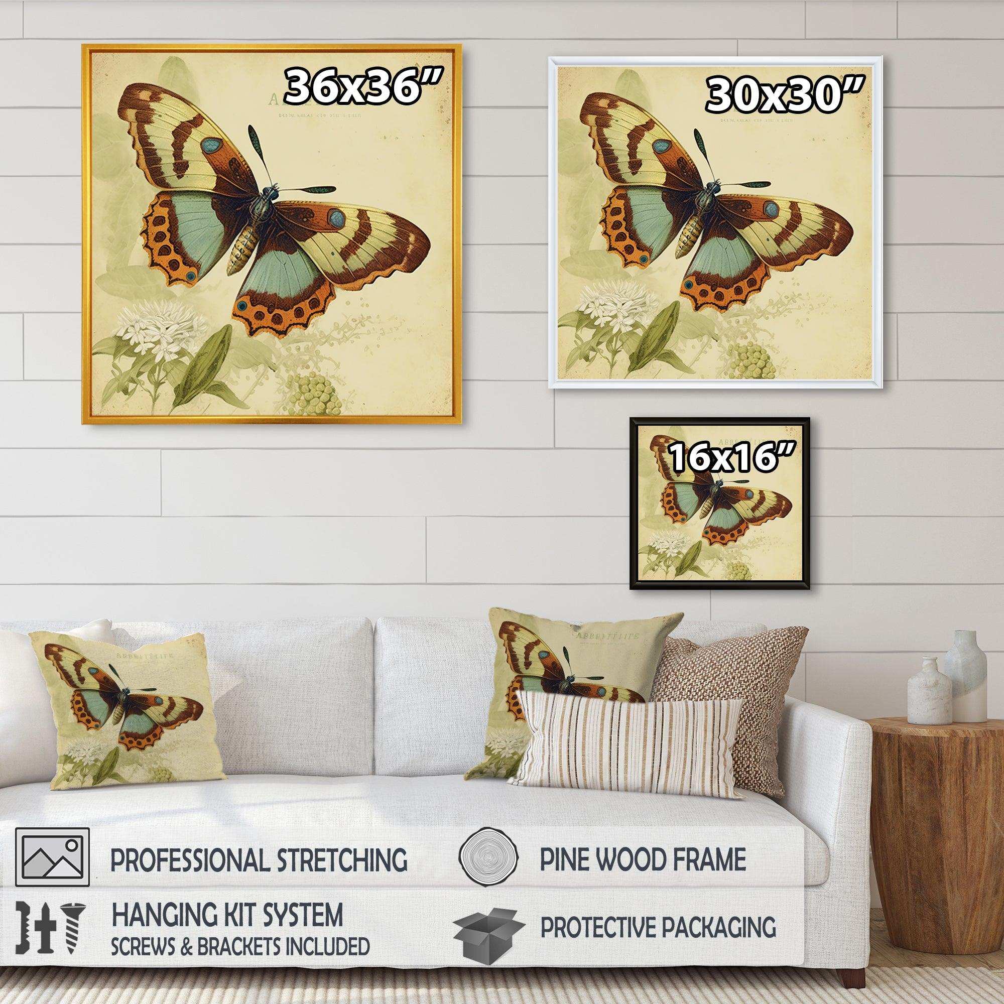 Vintage Illustration Of Butterfly IV