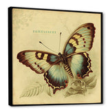 Vintage Illustration Of Butterfly V