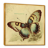 Vintage Illustration Of Butterfly V